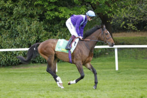 20J5655 Artistic Star