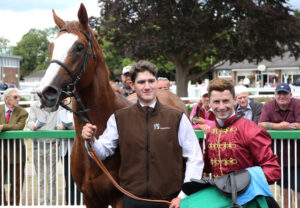 BK1A0048 Wolfpack