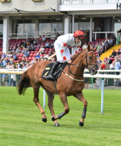 DSC 0016 Fortunate Star
