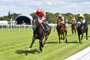 DSC 0086 Front Line Fury
