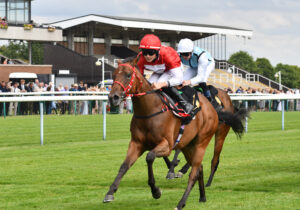 DSC 0295 Rogue Temptation