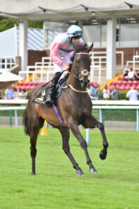DSC 0304 Raffles Angel