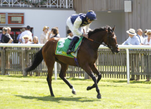20J0059 Royal Fixation