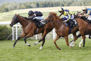 20J3440 Great Acclaim
