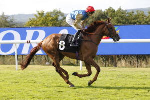 20J4303 Sea Of Kings