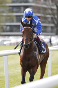 20J4768 Crown Of Oaks