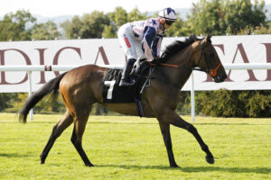 20J6396 Circe