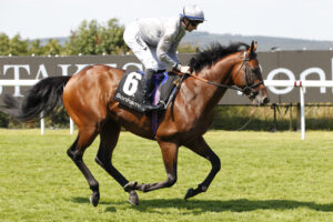 20J7709 King’s Gamble