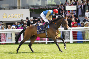 78F3266 French Duke