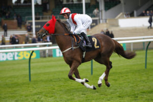 78F4428 Majestic Warrior