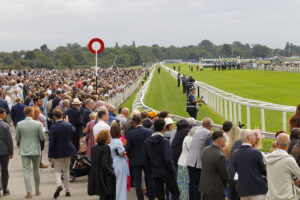 78F8248 York crowds