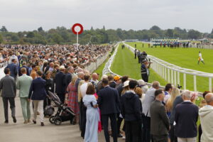 78F8249 York Crowds