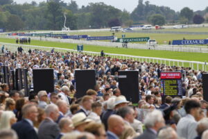 78F8275 York crowds