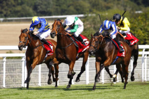 78F8557 Tribal Chief