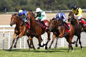 78F8561 Tribal Chief