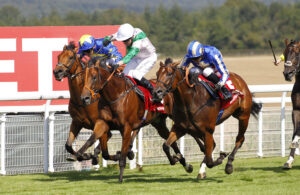 78F8563 Tribal Chief