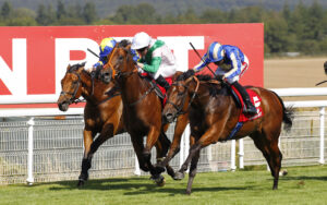 78F8565 Tribal Chief