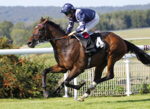 78F8940 Forever Penywern