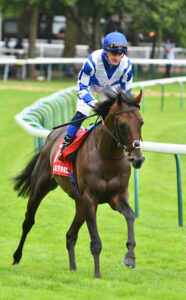 DSC 0031 Royal Dubai