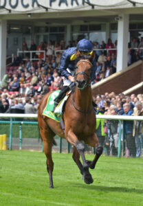 DSC 0042 Dramatic Star