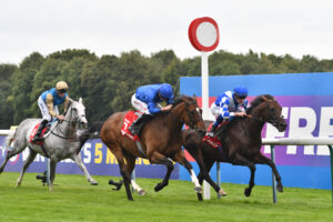 DSC 0048 Royal Dubai