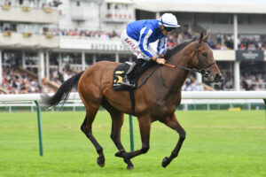 DSC 0108 Excellent Believe