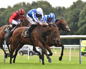 DSC 0125 Excellent Believe