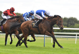 DSC 0127 Excellent Believe