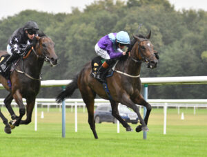 DSC 0152 Tropical Heat