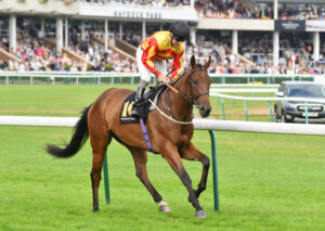 DSC 0178 Sir Paul Ramsey