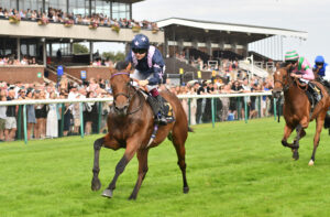 DSC 0273 Hardy’s Hero