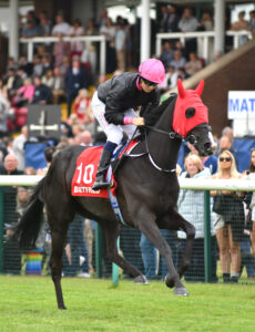 DSC 0313 First Instinct