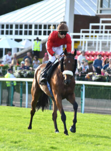 DSC 0352 Belgravian