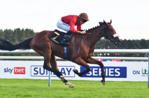 DSC 0379 Belgravian