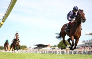 EN4D4561 Forever Penywern