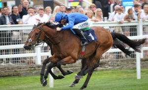 FU0E3667 Arabian Crown