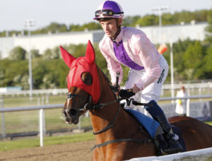 20J0811 Miss Justice