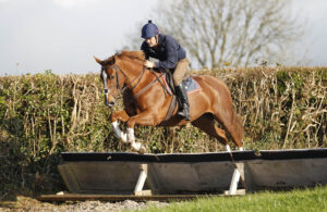 20J5431 Tim Vaughan