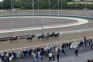 20J7709 Wolverhampton finish   New Greyhound Track