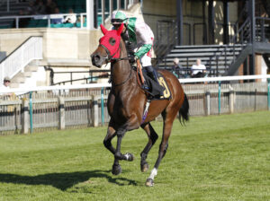 20J8257 Arabian Leopard