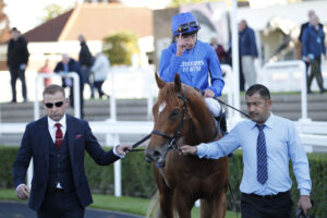 20J8342 Distant Storm