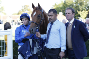 20J8350 Distant Storm