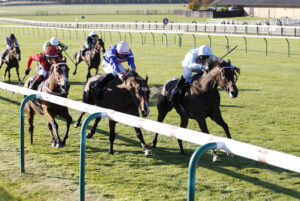 20J8377 Secret Beach