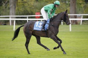 20J8457 Don Virginia