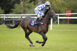 20J8553 Glance Of Glory