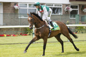 20J9958 Paddy The Squire