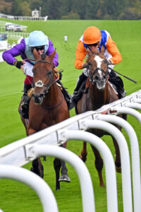 250924 0012 Royal Playwright