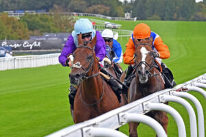 250924 0018 Royal Playwright