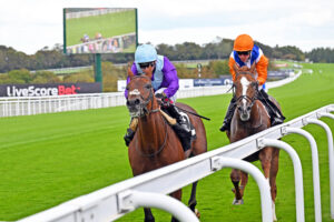 250924 0027 Royal Playwright