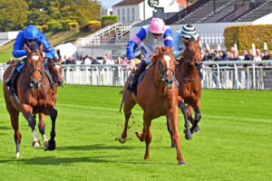 250924 0099 Bay Of Brilliance